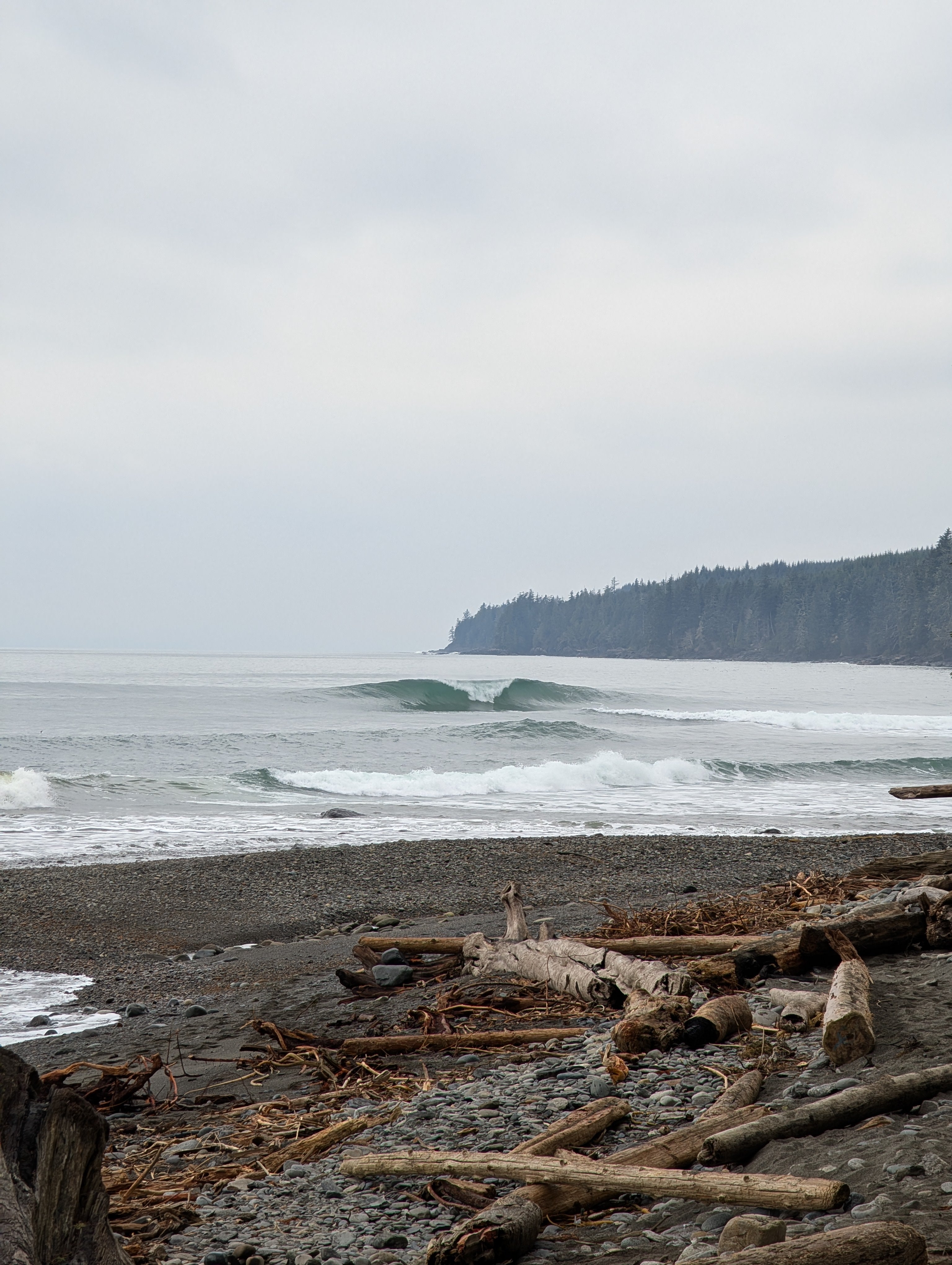 スポーツ COASTLINE SURF Coastline Surf Shop