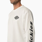 Dickies Graphic LS Tee